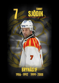Tommy Sjödin Hedringsvepa Brynäs-6