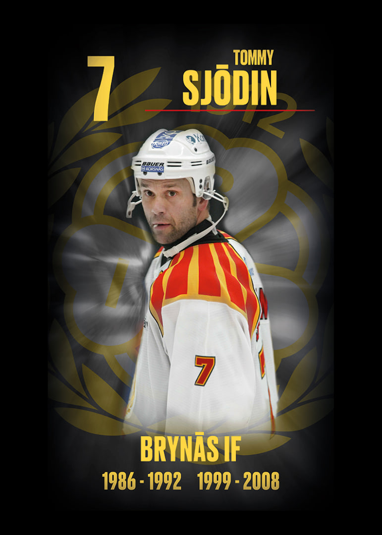 Tommy Sjödin Hedringsvepa Brynäs-12
