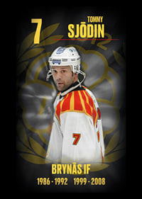 Tommy Sjödin Hedringsvepa Brynäs-7