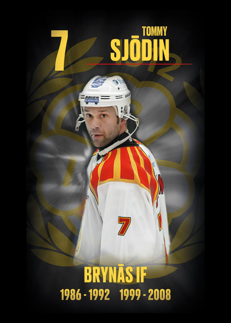 Tommy Sjödin Hedringsvepa Brynäs-12