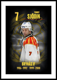 Tommy Sjödin Hedringsvepa Brynäs-0