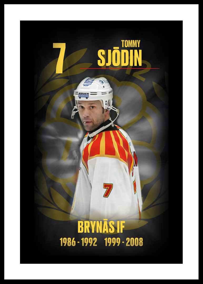 Tommy Sjödin Hedringsvepa Brynäs-12