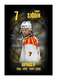 Tommy Sjödin Hedringsvepa Brynäs-1
