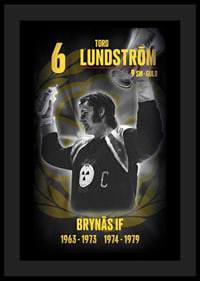Tord Lundström Hedringsvepa Brynäs-4
