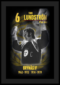 Tord Lundström Hedringsvepa Brynäs-4