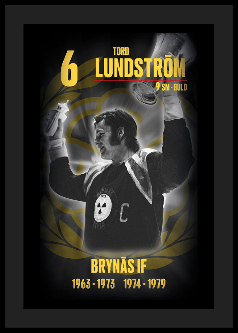Tord Lundström Hedringsvepa Brynäs-12