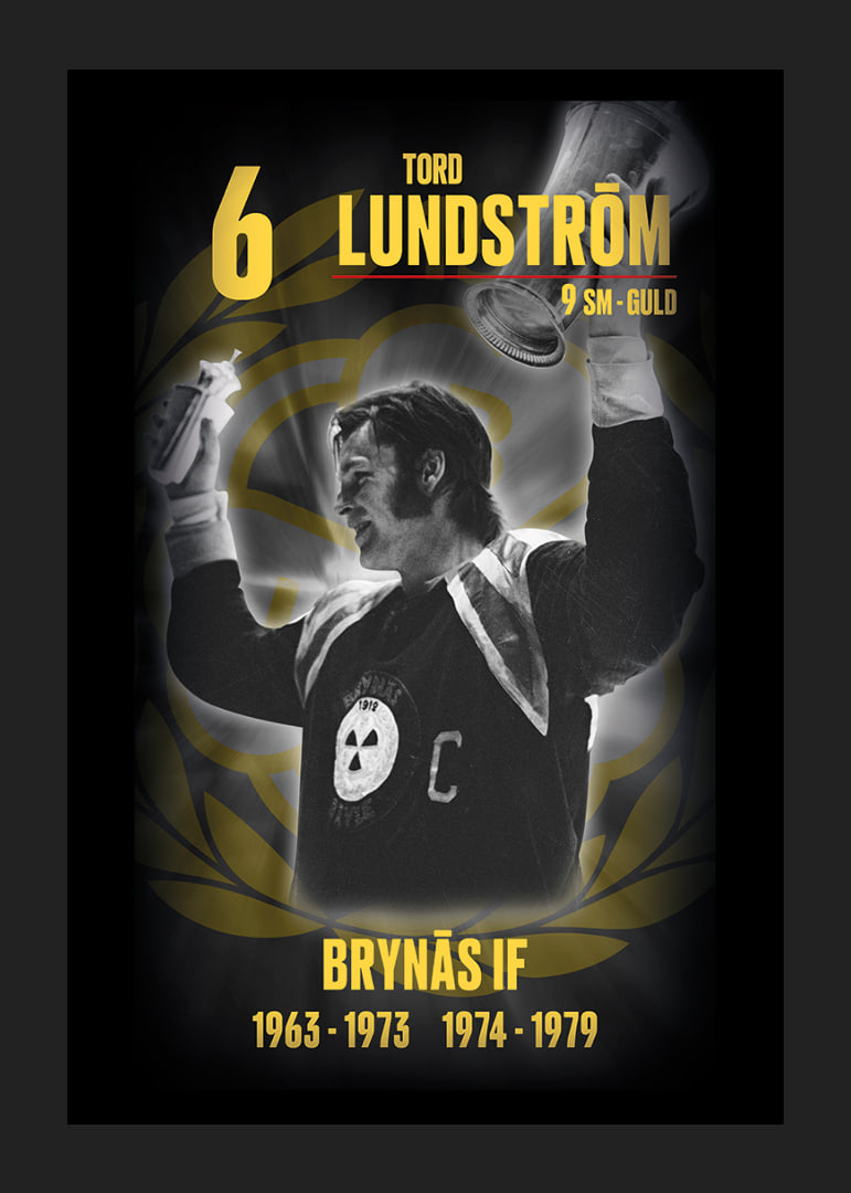 Tord Lundström Hedringsvepa Brynäs-12