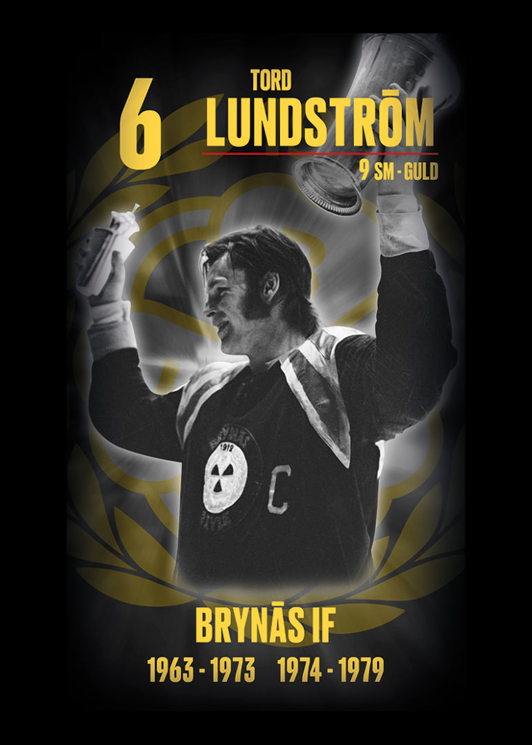 Tord Lundström Hedringsvepa Brynäs-12