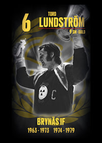 Tord Lundström Hedringsvepa Brynäs-7