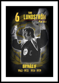 Tord Lundström Hedringsvepa Brynäs-0