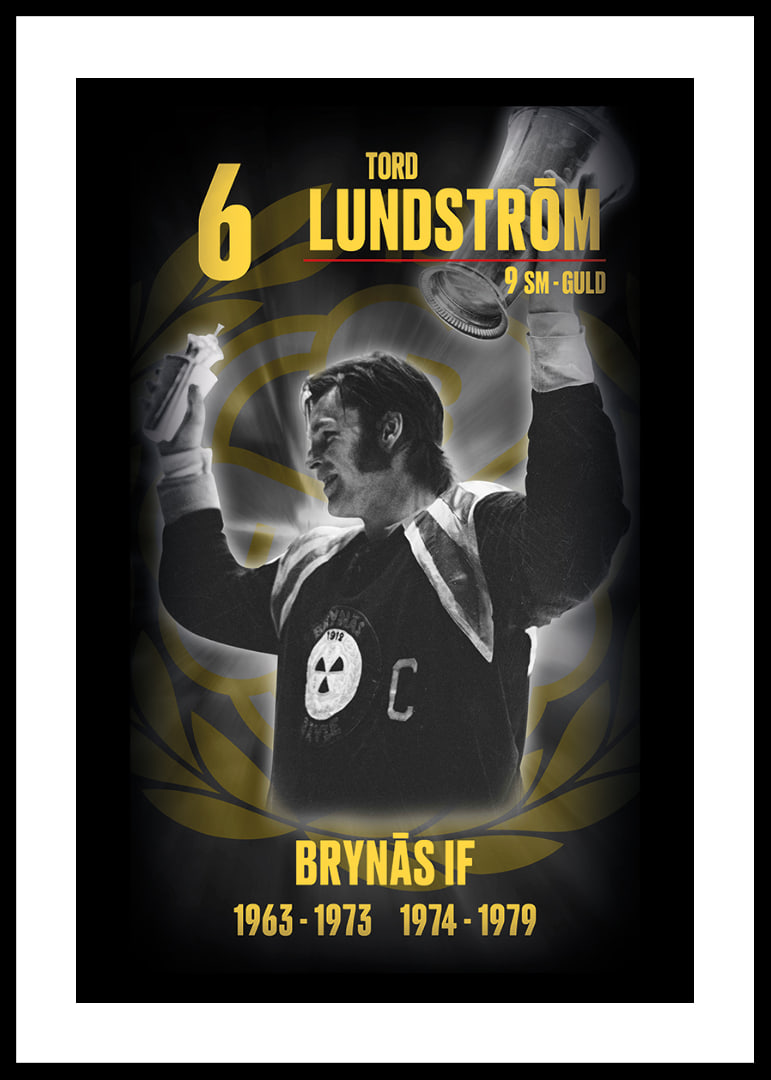 Tord Lundström Hedringsvepa Brynäs-12