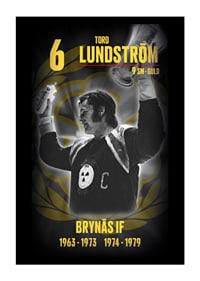 Tord Lundström Hedringsvepa Brynäs-1