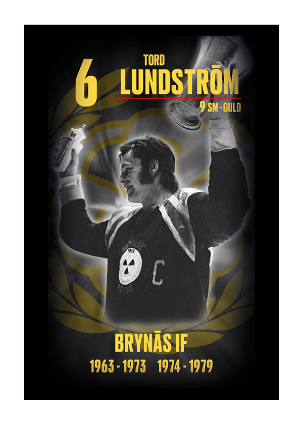 Poster Tord Lundström Hedringsvepa Brynäs