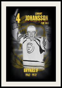 Lennart Johansson Hedringsvepa Brynäs-2