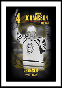 Lennart Johansson Hedringsvepa Brynäs-0