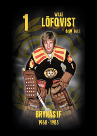 Wille Löfqvist Hedringsvepa Brynäs-6