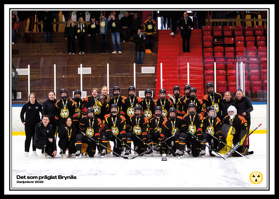 Det Som Präglat Brynäs Damjuniorer 2022-12