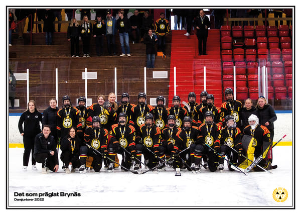 Poster Damjuniorer 2022