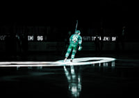 David Tomasek Färjestad Skellefteå 2026 No1-5