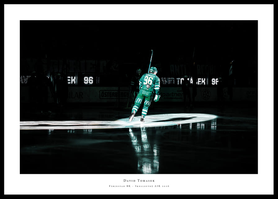 David Tomasek Färjestad Skellefteå 2026 No1-12