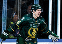 David Tomasek Färjestad Brynäs 2026 No2-5