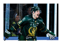 David Tomasek Färjestad Brynäs 2026 No2-3