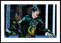 David Tomasek Färjestad Brynäs 2026 No2-0