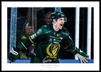 David Tomasek Färjestad Brynäs 2026 No2-0