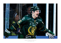 David Tomasek Färjestad Brynäs 2026 No2-1