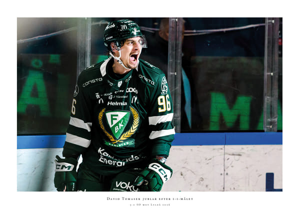 Poster David Tomasek Färjestad 2026 No3