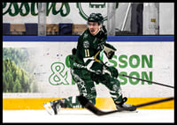 Joakim Nygård Färjestad Frölunda 2026-4