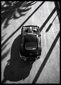 A classic Jaguar E-Type captured in the shade of tall palm trees-6