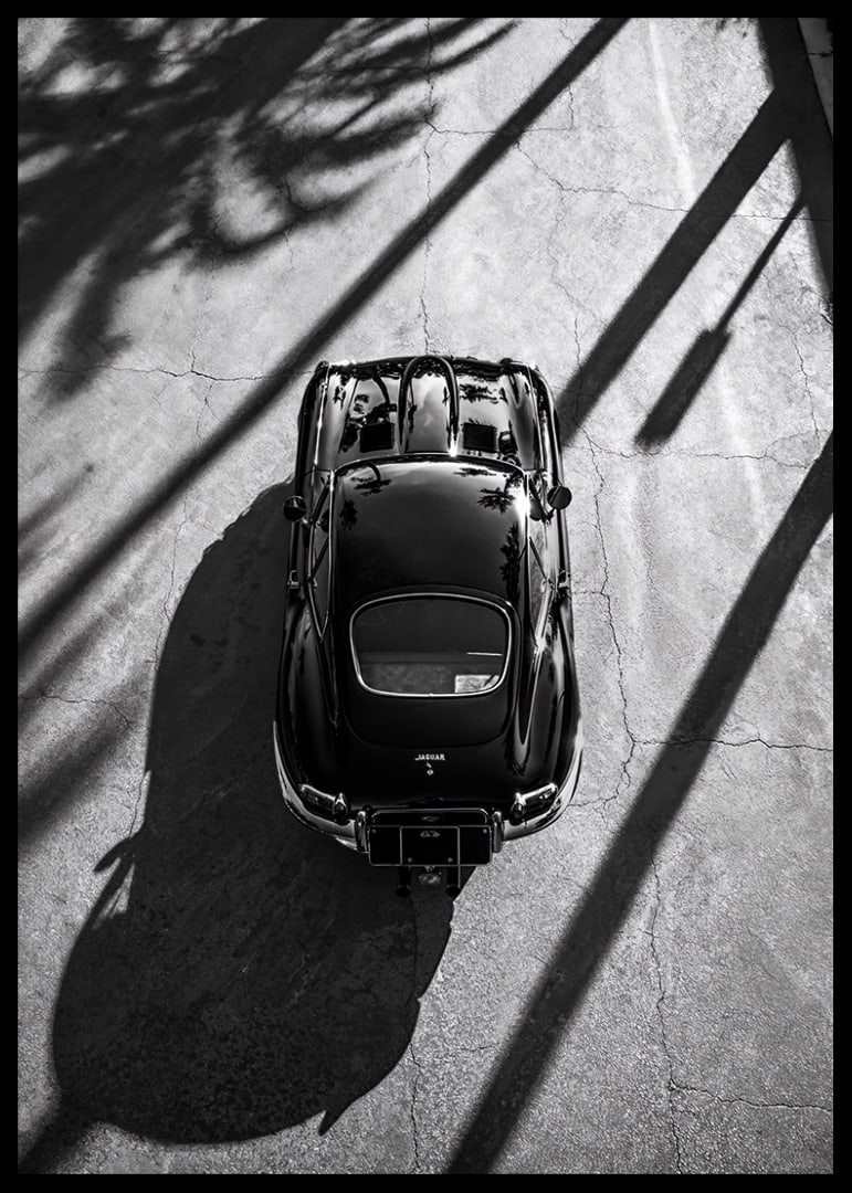 A classic Jaguar E-Type captured in the shade of tall palm trees-12