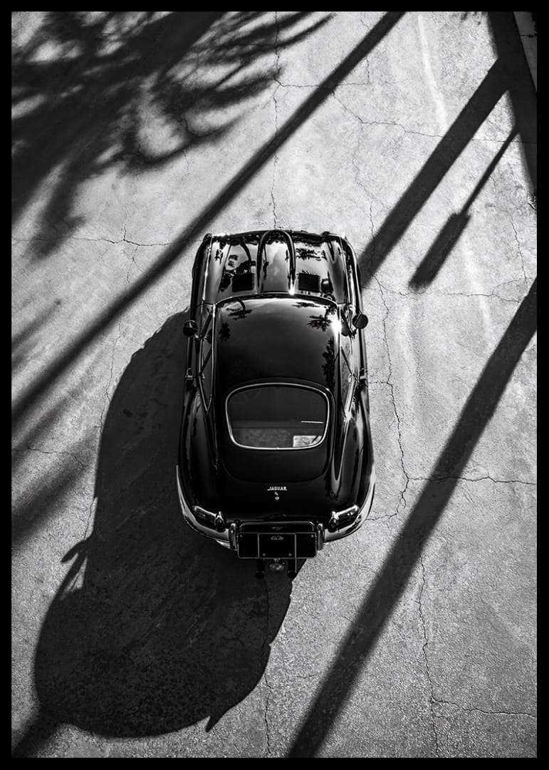 Klasisks Jaguar E-Type, iemūžināts augstu palmu ēnā-12