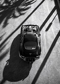 A classic Jaguar E-Type captured in the shade of tall palm trees-7