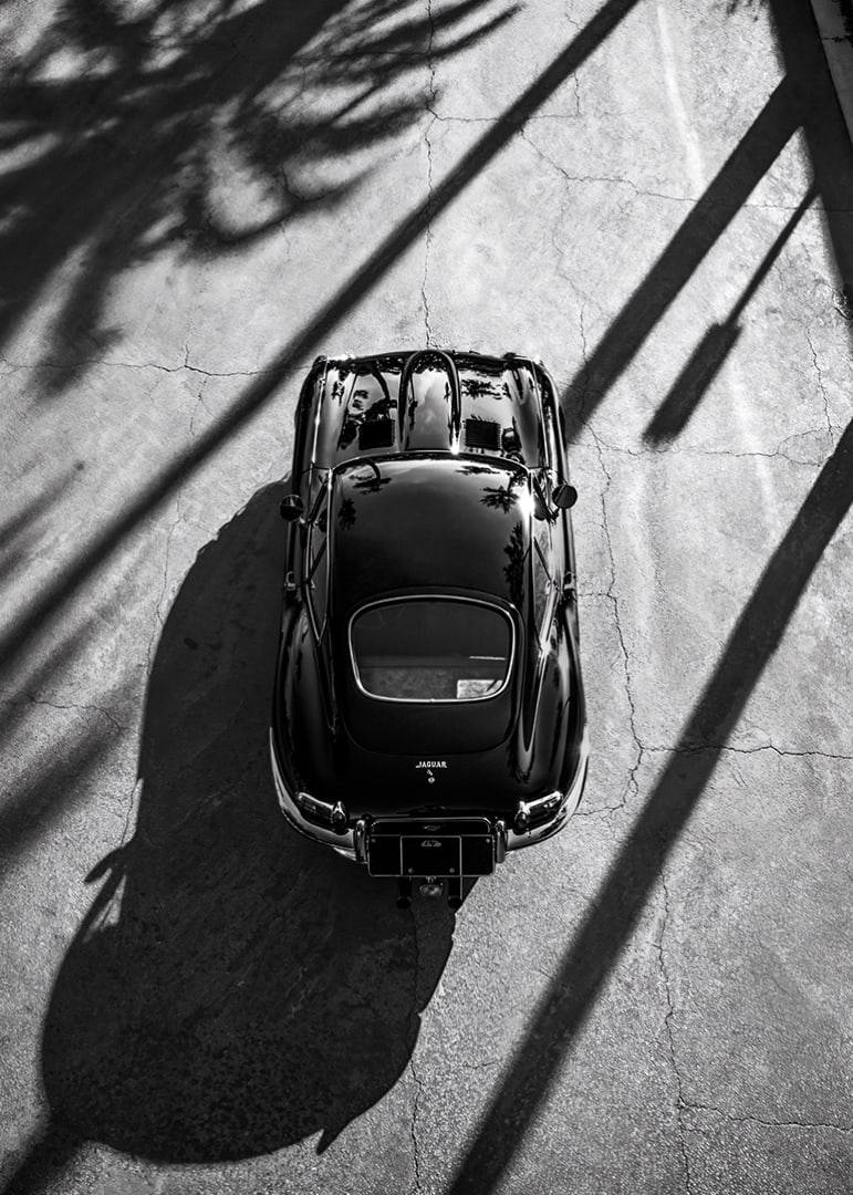 A classic Jaguar E-Type captured in the shade of tall palm trees-12