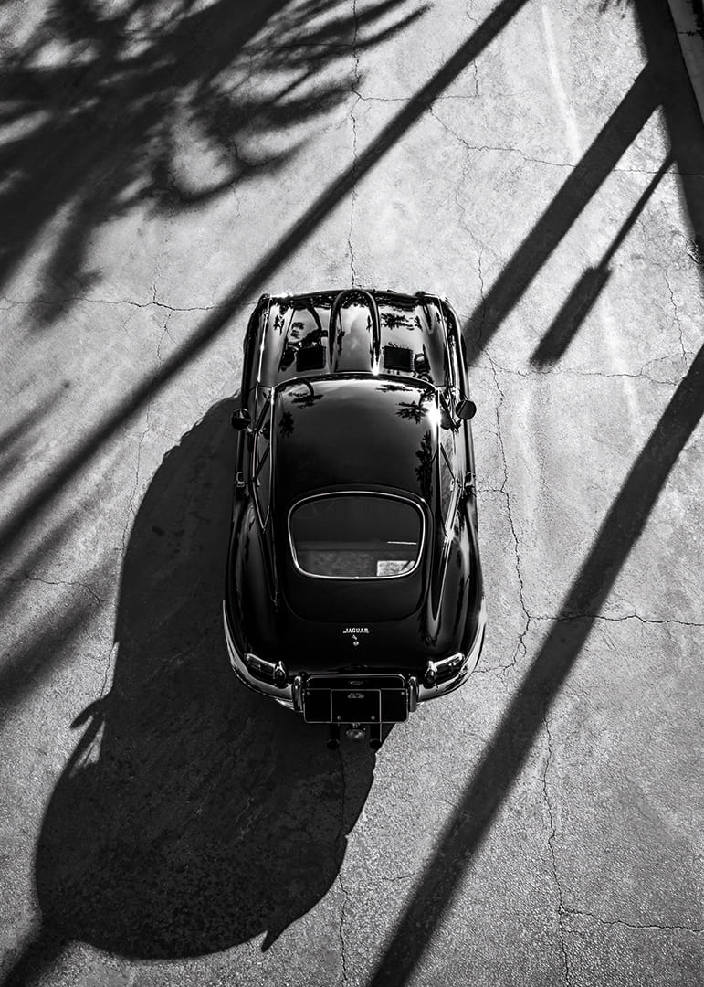 Klasisks Jaguar E-Type, iemūžināts augstu palmu ēnā-12