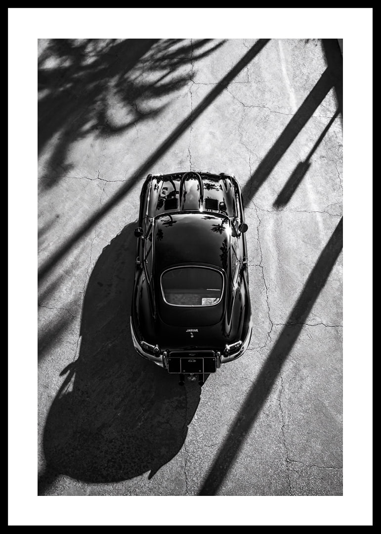 A classic Jaguar E-Type captured in the shade of tall palm trees-12