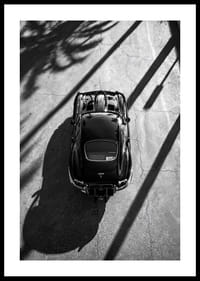 Klasisks Jaguar E-Type, iemūžināts augstu palmu ēnā-0