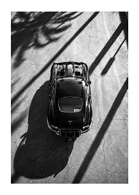 A classic Jaguar E-Type captured in the shade of tall palm trees-1