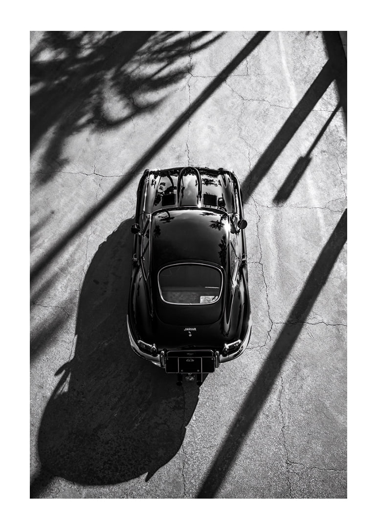 A classic Jaguar E-Type captured in the shade of tall palm trees-12