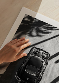 A classic Jaguar E-Type captured in the shade of tall palm trees-9
