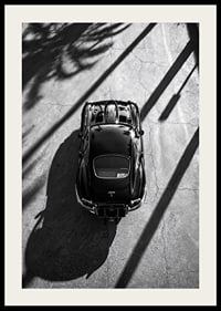 A classic Jaguar E-Type captured in the shade of tall palm trees-2