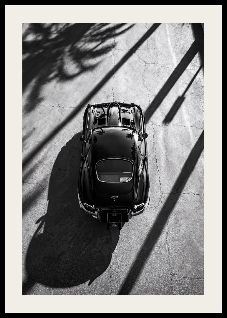 A classic Jaguar E-Type captured in the shade of tall palm trees-12