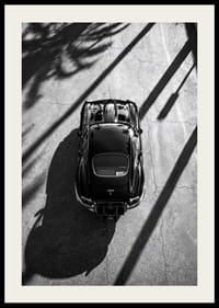 En klassisk  Jaguar E-Type fångad i skuggan av höga palmer-2