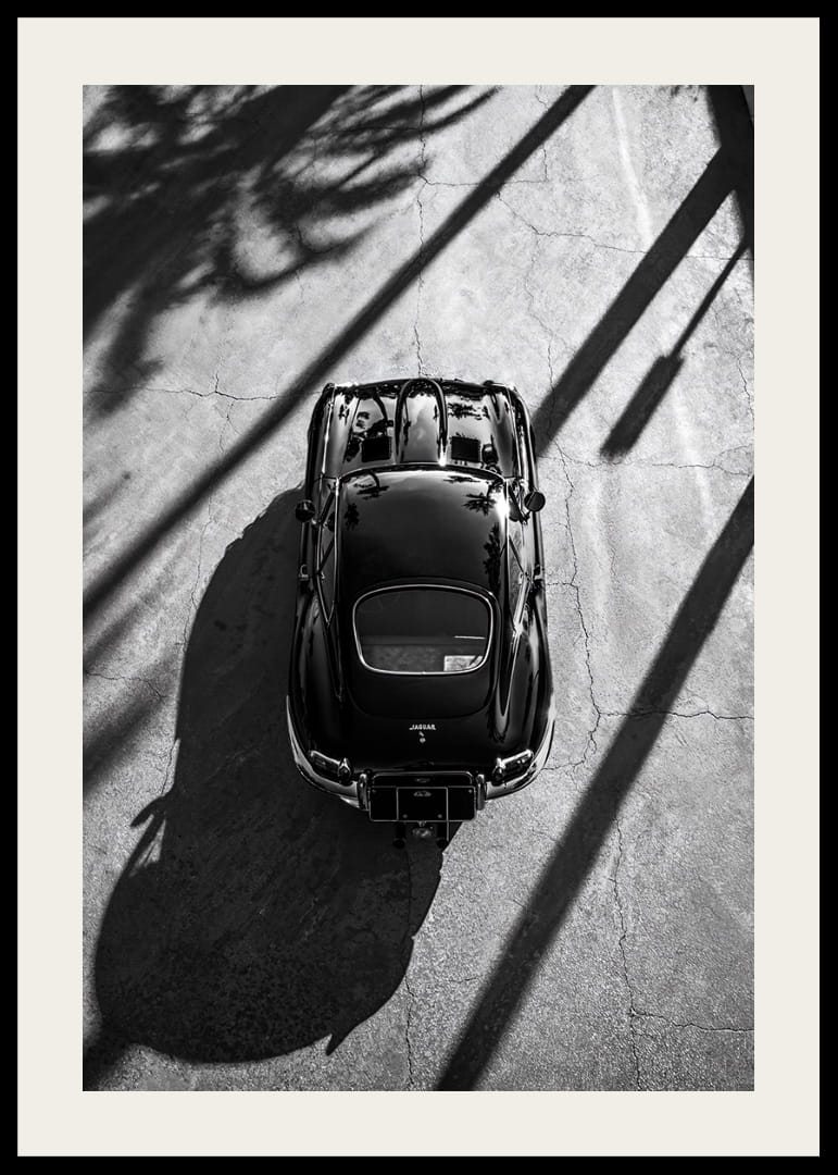 En klassisk  Jaguar E-Type fångad i skuggan av höga palmer-12