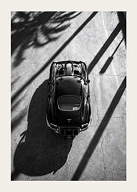 A classic Jaguar E-Type captured in the shade of tall palm trees-3