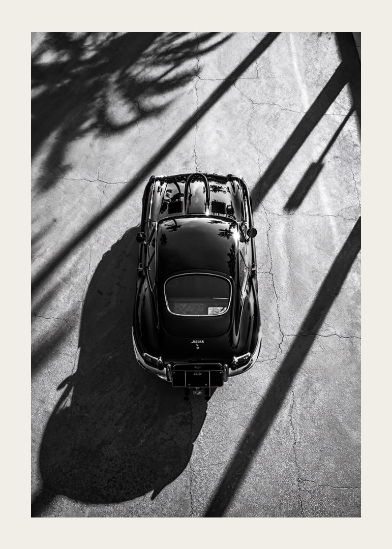 A classic Jaguar E-Type captured in the shade of tall palm trees-12