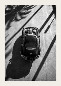 En klassisk  Jaguar E-Type fångad i skuggan av höga palmer-3