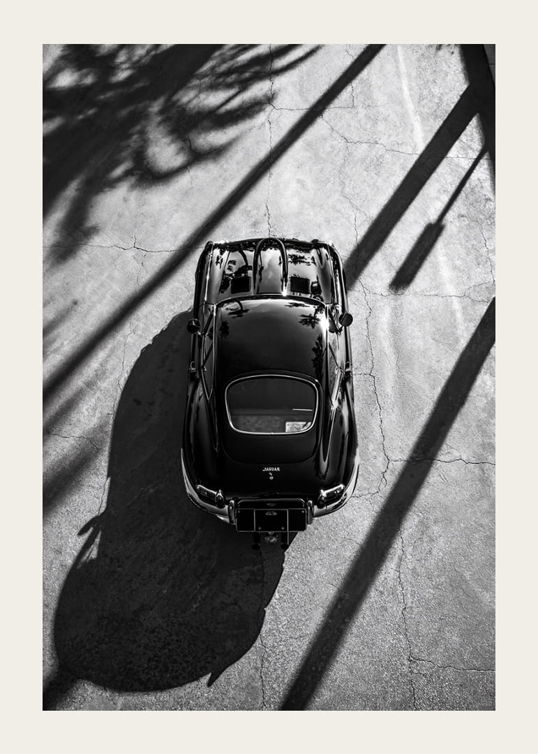 En klassisk  Jaguar E-Type fångad i skuggan av höga palmer-12